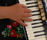 accordian picture