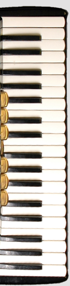 Keys on Accordian Image